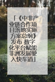 《中非产业链合作项目落地实施方案总纲》发布 数字化平台赋能非洲发展驶入快车道