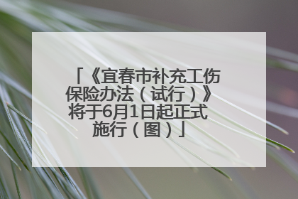 《宜春市补充工伤保险办法（试行）》将于6月1日起正式施行（图）