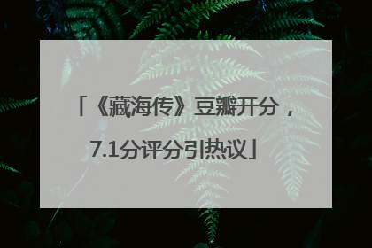 《藏海传》豆瓣开分，7.1分评分引热议
