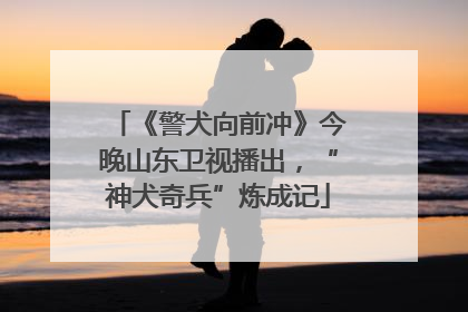 《警犬向前冲》今晚山东卫视播出，“神犬奇兵”炼成记
