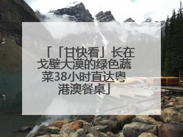 「甘快看」长在戈壁大漠的绿色蔬菜38小时直达粤港澳餐桌