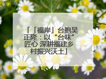 「福岸」台胞吴正隆：以“台味”匠心 深耕福建乡村振兴沃土