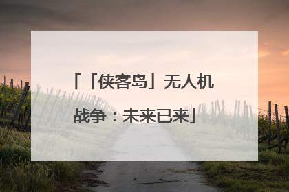 「侠客岛」无人机战争：未来已来
