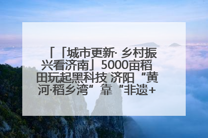 「城市更新· 乡村振兴看济南」5000亩稻田玩起黑科技 济阳“黄河·稻乡湾”靠“非遗+露营”火出圈
