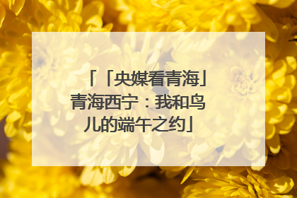 「央媒看青海」青海西宁：我和鸟儿的端午之约