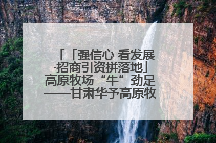 「强信心 看发展·招商引资拼落地」高原牧场“牛”劲足——甘肃华予高原牧场高标准奶牛肉牛养殖项目一线见闻