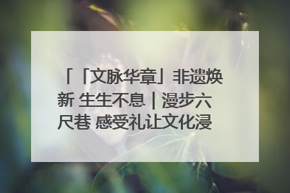 「文脉华章」非遗焕新 生生不息｜漫步六尺巷 感受礼让文化浸润的“巷”往生活