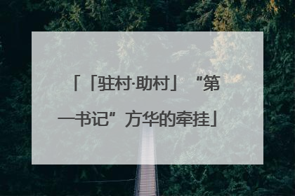 「驻村·助村」“第一书记”方华的牵挂