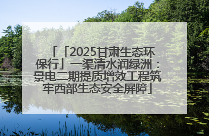 「2025甘肃生态环保行」一渠清水润绿洲：景电二期提质增效工程筑牢西部生态安全屏障