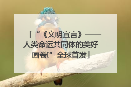 “《文明宣言》——人类命运共同体的美好画卷I”全球首发