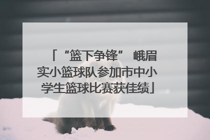 “篮下争锋” 峨眉实小篮球队参加市中小学生篮球比赛获佳绩