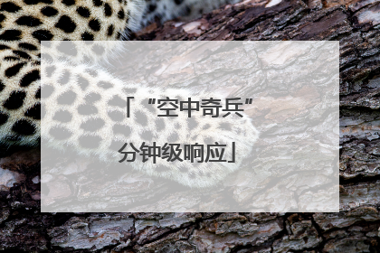 “空中奇兵”分钟级响应