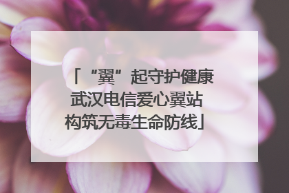 “翼”起守护健康 武汉电信爱心翼站构筑无毒生命防线