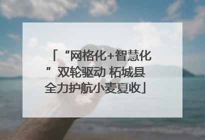 “网格化+智慧化”双轮驱动 柘城县全力护航小麦夏收