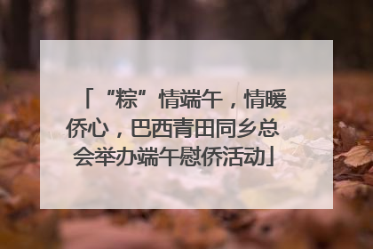 “粽”情端午，情暖侨心，巴西青田同乡总会举办端午慰侨活动