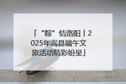 “粽”情洛阳丨2025年嵩县端午文旅活动精彩纷呈