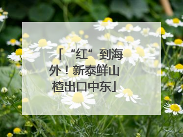 “红”到海外！新泰鲜山楂出口中东