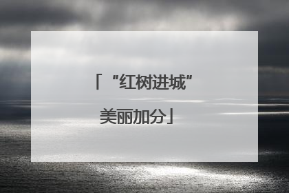 “红树进城” 美丽加分