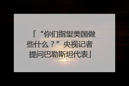 “你们指望美国做些什么？”央视记者提问巴勒斯坦代表