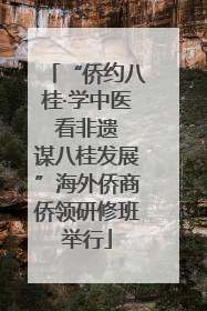 “侨约八桂·学中医 看非遗 谋八桂发展”海外侨商侨领研修班举行