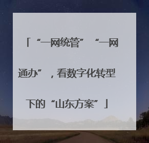 “一网统管”“一网通办”，看数字化转型下的“山东方案”