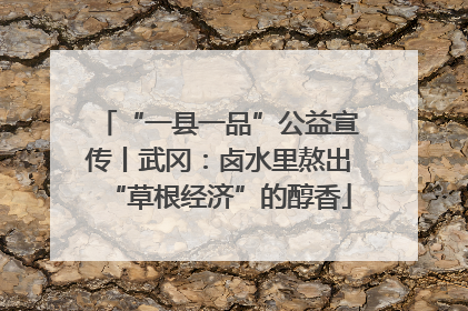 “一县一品”公益宣传丨武冈：卤水里熬出“草根经济”的醇香