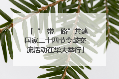 “一带一路”共建国家二十四节令鼓交流活动在华大举行
