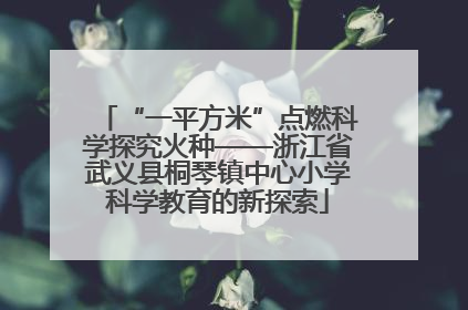 “一平方米”点燃科学探究火种——浙江省武义县桐琴镇中心小学科学教育的新探索