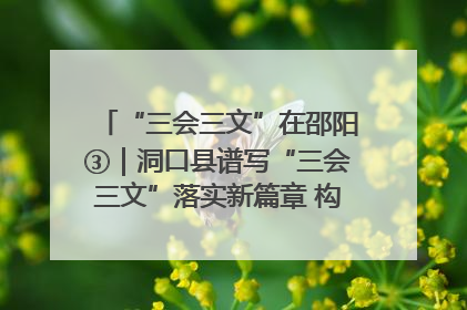 “三会三文”在邵阳③｜洞口县谱写“三会三文”落实新篇章 构建协同联动大格局