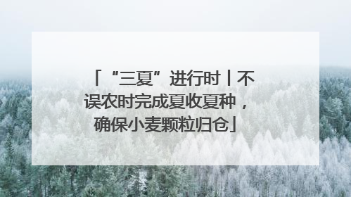 “三夏”进行时丨不误农时完成夏收夏种，确保小麦颗粒归仓