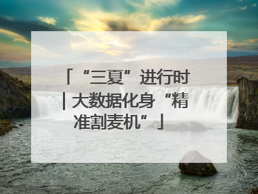 “三夏”进行时｜大数据化身“精准割麦机”