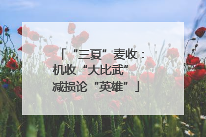 “三夏”麦收：机收“大比武” 减损论“英雄”