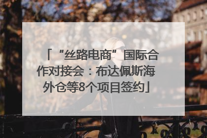 “丝路电商”国际合作对接会：布达佩斯海外仓等8个项目签约