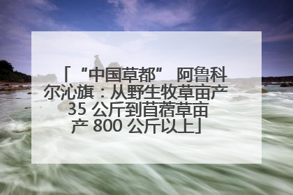 “中国草都” 阿鲁科尔沁旗：从野生牧草亩产 35 公斤到苜蓿草亩产 800 公斤以上