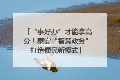 “事好办”才能拿高分！泰安“智慧政务”打造便民新模式