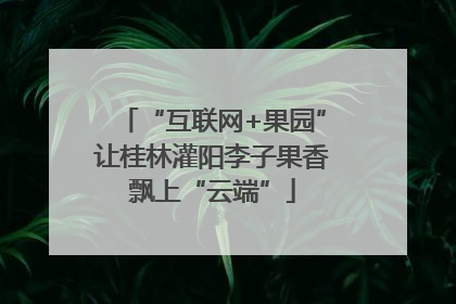 “互联网+果园”让桂林灌阳李子果香飘上“云端”