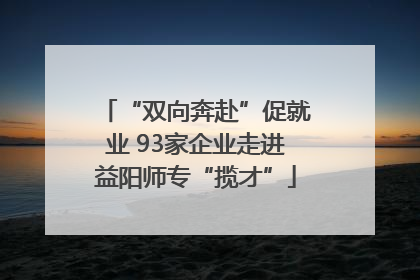 “双向奔赴”促就业 93家企业走进益阳师专“揽才”