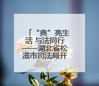 “典”亮生活 与法同行——湖北省松滋市司法局开展民法典宣传系列活动