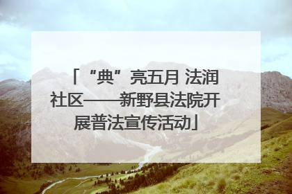 “典”亮五月 法润社区——新野县法院开展普法宣传活动