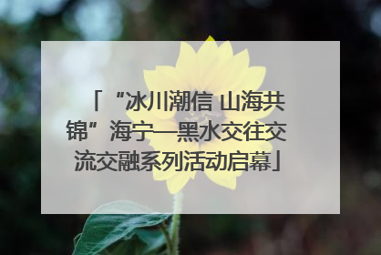 “冰川潮信 山海共锦”海宁—黑水交往交流交融系列活动启幕