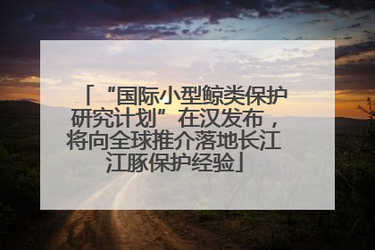 “国际小型鲸类保护研究计划”在汉发布，将向全球推介落地长江江豚保护经验