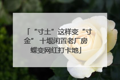 “寸土”这样变“寸金” 十堰闲置老厂房蝶变网红打卡地