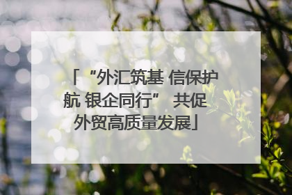 “外汇筑基 信保护航 银企同行” 共促外贸高质量发展