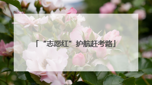 “志愿红”护航赶考路