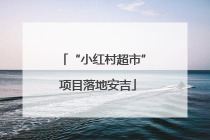 “小红村超市”项目落地安吉