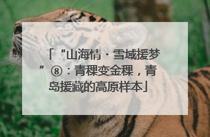 “山海情・雪域援梦”⑧：青稞变金稞，青岛援藏的高原样本