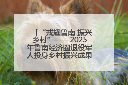 “戎耀鲁南 振兴乡村”——2025年鲁南经济圈退役军人投身乡村振兴成果展销会盛大启幕