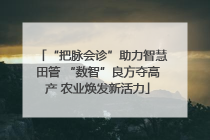 “把脉会诊”助力智慧田管 “数智”良方夺高产 农业焕发新活力