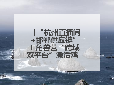 “杭州直播间+邯郸供应链”！角兽营“跨域双平台”激活鸡泽产业新动能