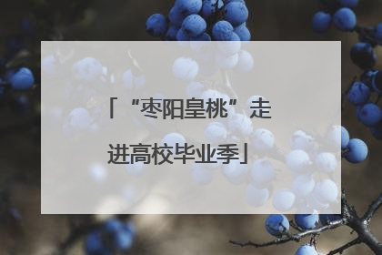 “枣阳皇桃”走进高校毕业季